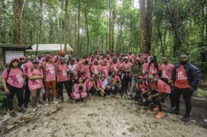 CANAL+ ET CANALBOX SE MOBILISENT CONTRE LES CANCERS FEMININS